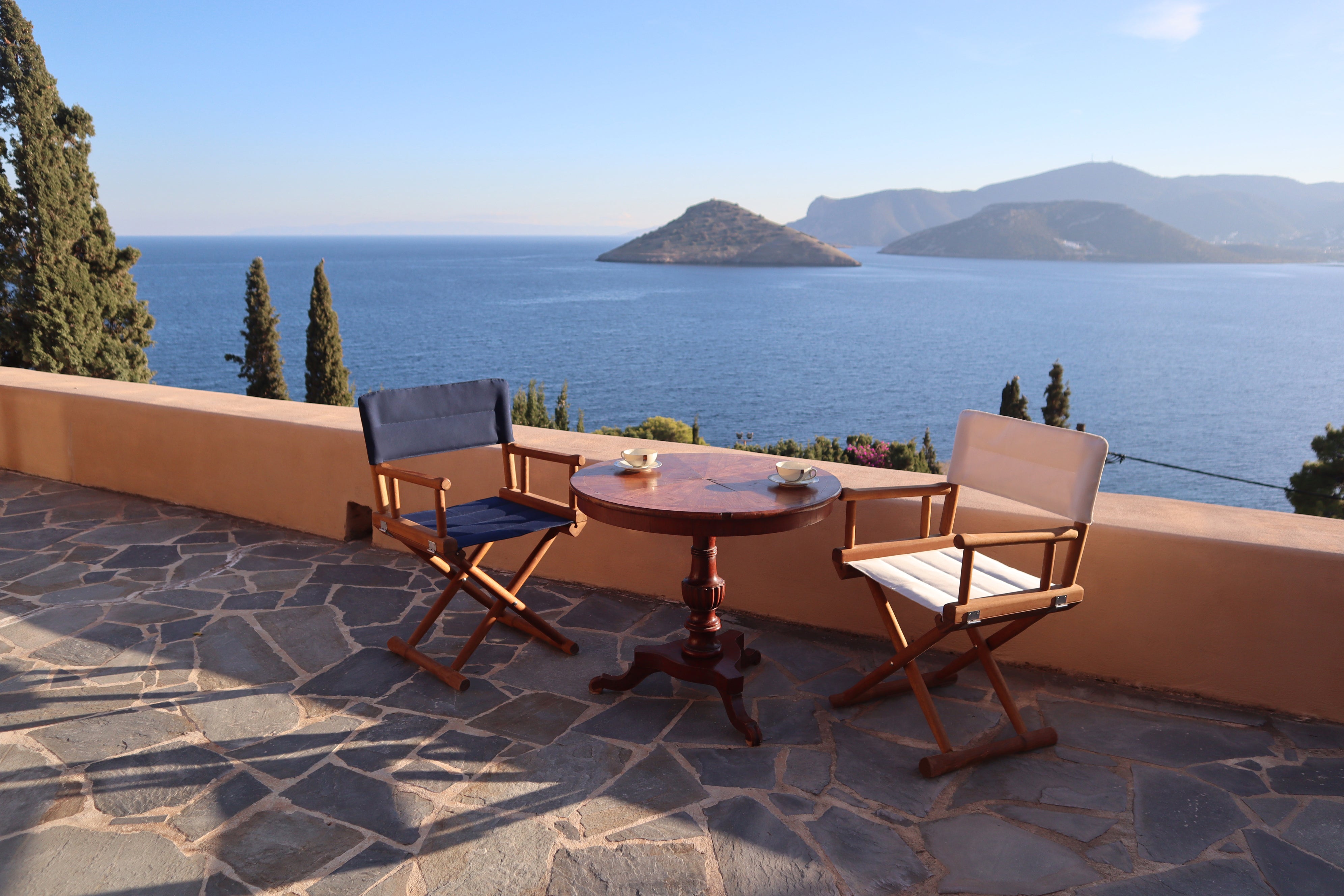Forma Marine Teak Directors Chair with Armrests Folding - L15 #color_navy blue