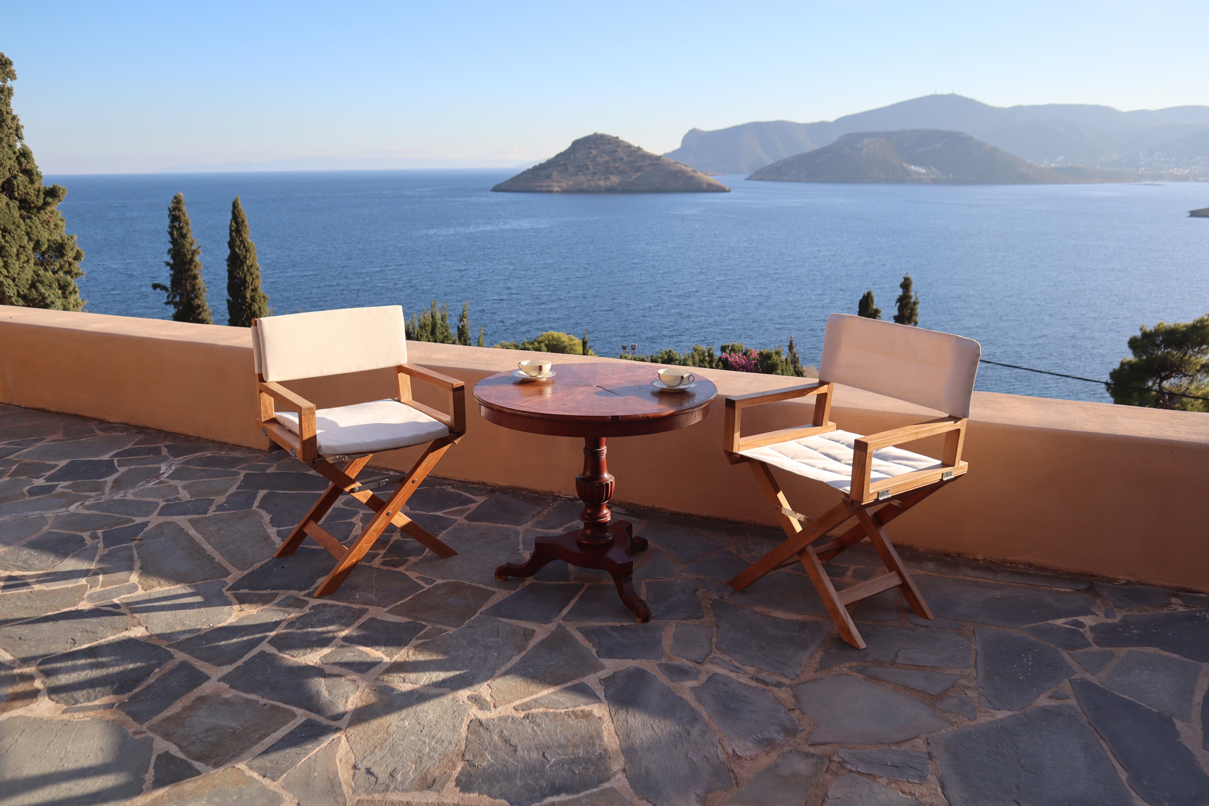 Forma Marine Teak Chair with Armrests Folding - L10 #color_white